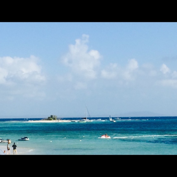 Meet your Posher, Taylor - Picture 1 of 1